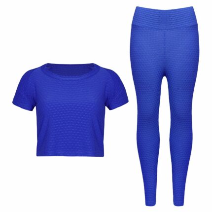 ست تی شرت و لگینگ ورزشی زنانه ماییلدا مدل 4348-6743 رنگ آبی